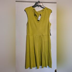 New York & Company Green A-Line Mini Dress